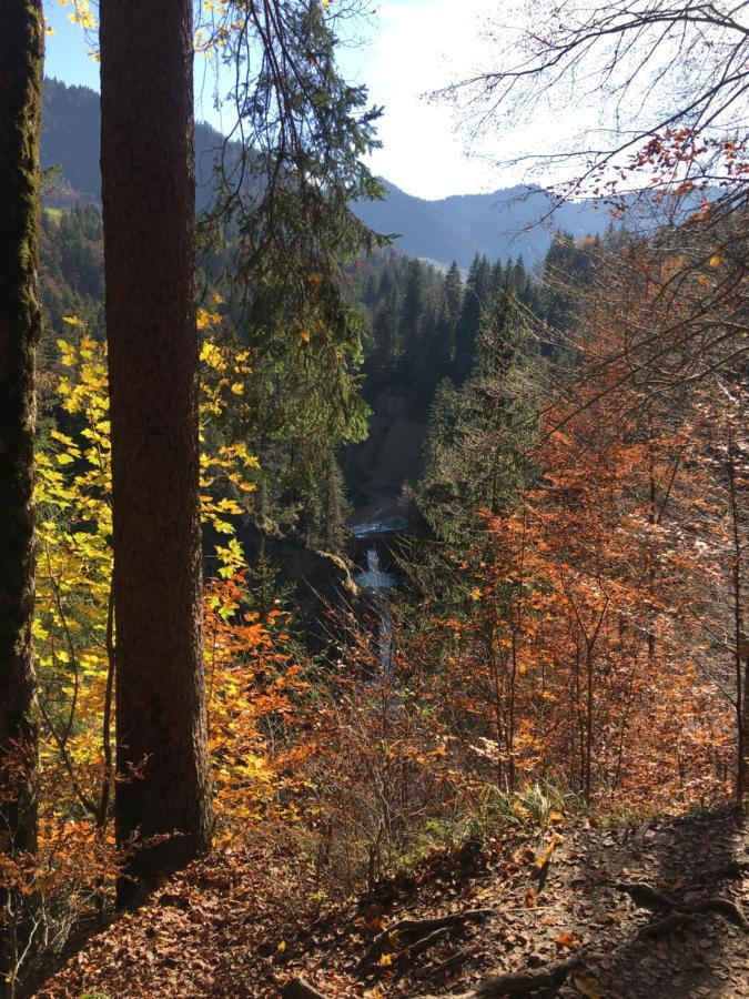 Weitnaustyle - Renoviert, Modern, Allergikerfreundlich Экстерьер фото